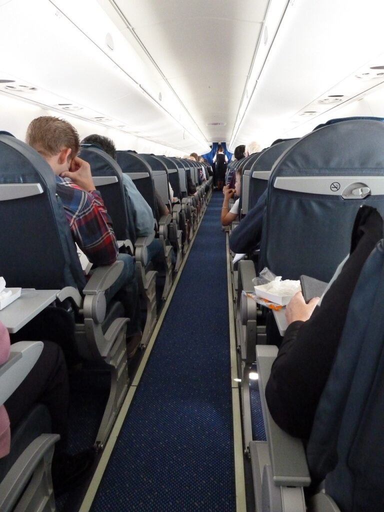 plane, aircraft cabin, passengers-608064.jpg